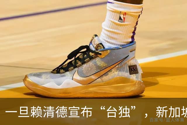 一旦赖清德宣布“台独”，新加坡马凯硕曾言：台湾将面临3大惨状