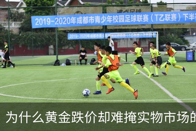 为什么黄金跌价却难掩实物市场的暗流涌动？