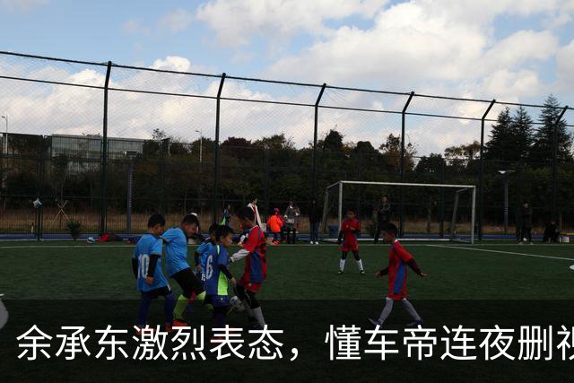 余承东激烈表态，懂车帝连夜"删视频"，这下真被动了？