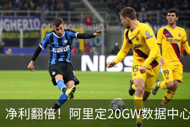 净利翻倍！阿里定20GW数据中心目标，这条赛道高增长