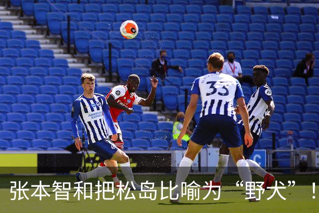 张本智和把松岛比喻为“野犬”！直言良性竞争才能够战胜中国选手