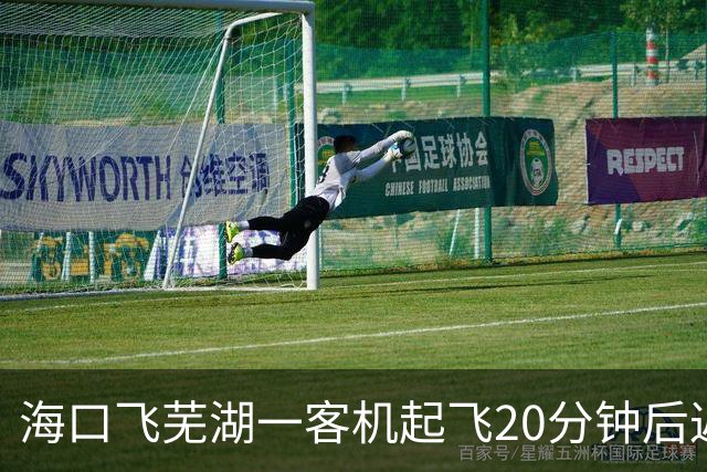 海口飞芜湖一客机起飞20分钟后返航，桂林航空：空中遇飞鸟撞击，需全面检查