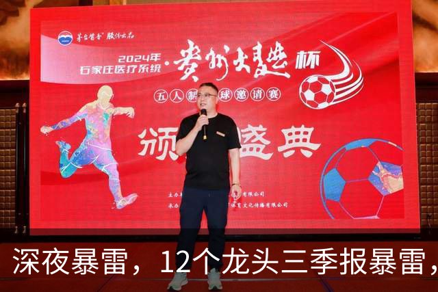 深夜暴雷，12个龙头三季报暴雷，龙头暴降738%，只有8个加速增长