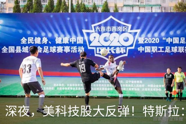深夜，美科技股大反弹！特斯拉：马斯克去年实际薪酬为“0”！