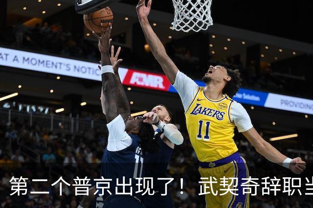 第二个普京出现了！武契奇辞职当天，两度提及中国并许下重磅承诺