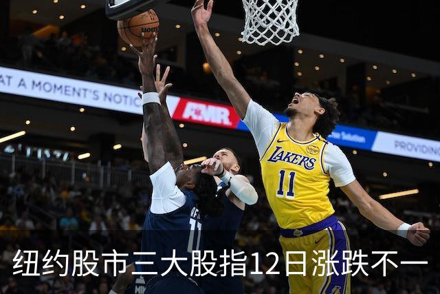纽约股市三大股指12日涨跌不一