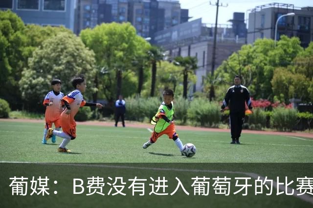 葡媒：B费没有进入葡萄牙的比赛大名单，主帅称其曾带伤出战