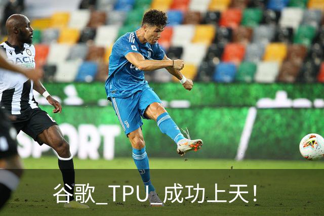 谷歌 TPU 成功上天！
