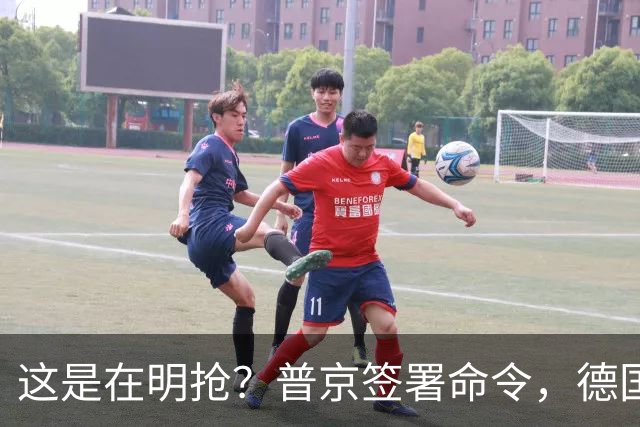 这是在明抢？普京签署命令，德国企业在俄资产，被强行接管！