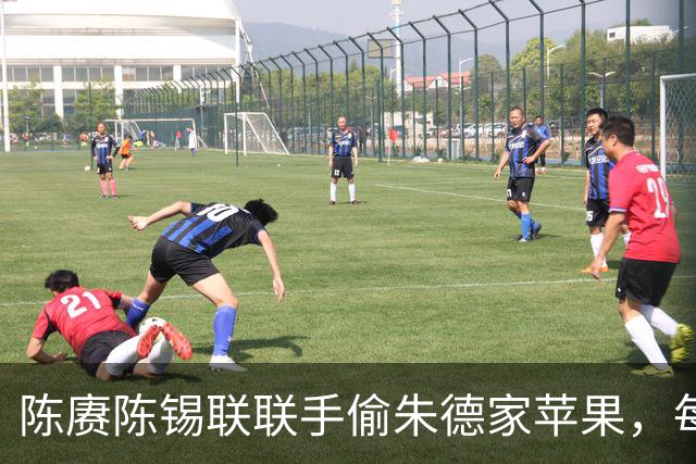 陈赓陈锡联联手偷朱德家苹果，每次满满装进口袋，陈奇涵忍不住告密！