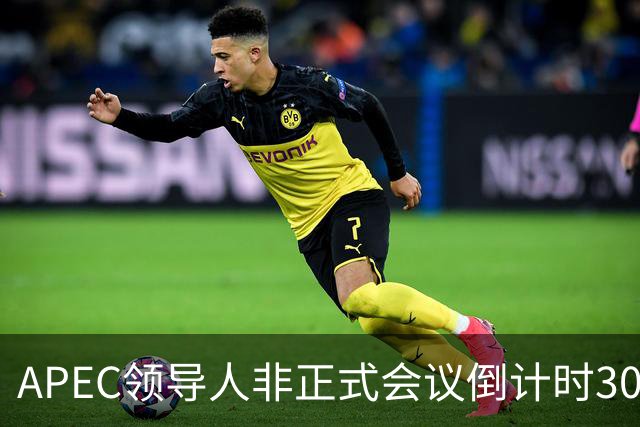 APEC领导人非正式会议倒计时30天，多国前政要和学者表达期待：APEC为不确定性上升的世界拓展合作路径