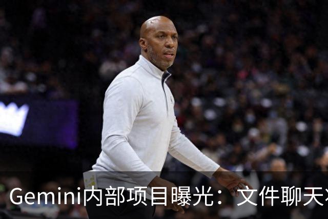 Gemini内部项目曝光：文件聊天将打通谷歌全家桶