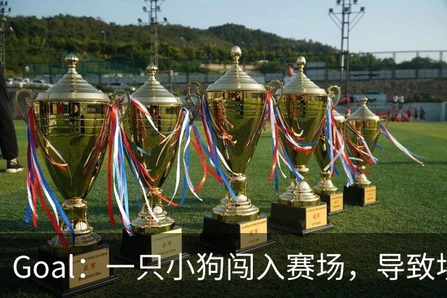 Goal：一只小狗闯入赛场，导致埃及联赛中断